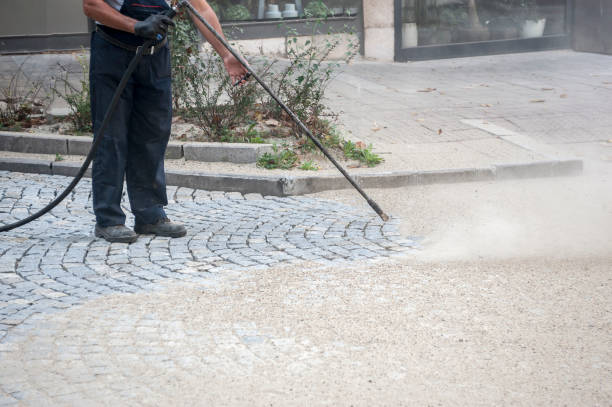 Animal Enclosure Cleaning in Henderson, NV